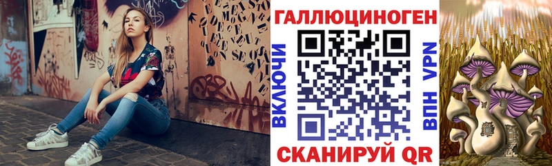 Галлюциногенные грибы MAGIC MUSHROOMS  купить наркотики сайты  Лахденпохья 